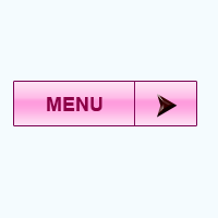 menu button