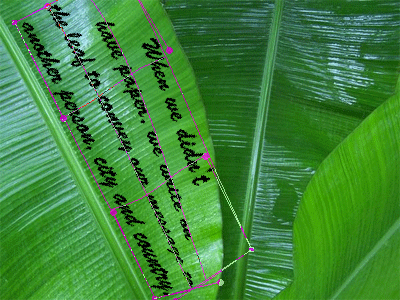 Write on leaf