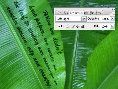 Write on leaf