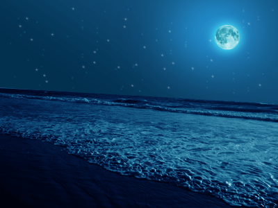 moon night scene